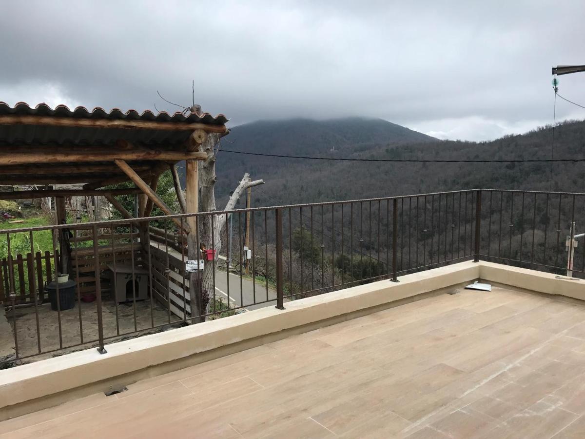 Maison De Maitre Ortiporiu Ortiporio Bagian luar foto